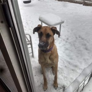 Meet your Posher, Lyric